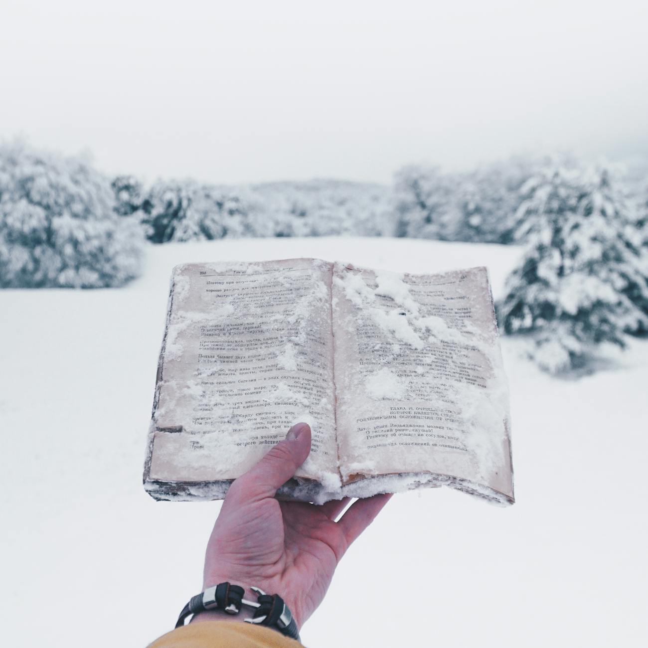 a person holding a book